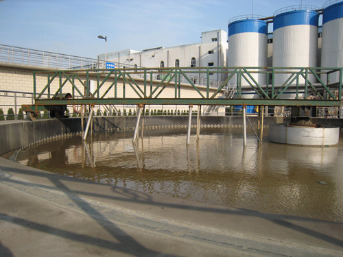 SDG�͆���߅����(d��ng)�����C